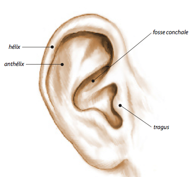 chirurgie oreille decolles otoplastie